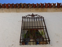 P1070043