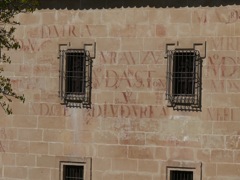 P1070062