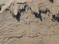 P1060986
