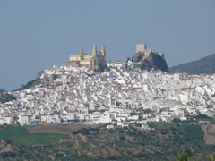 P1070097