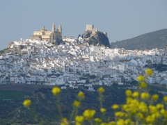 P1070104