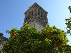 P1070123