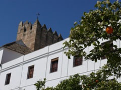 P1070128