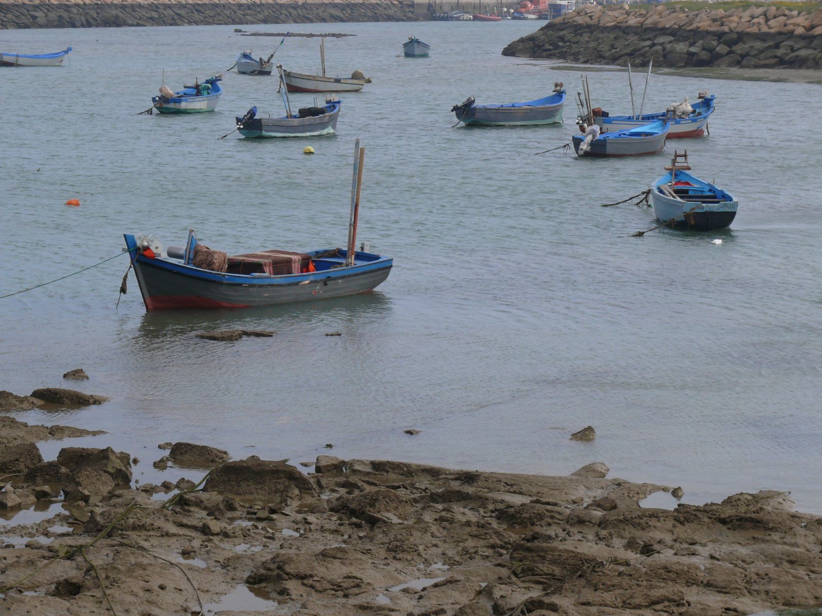 P1070382