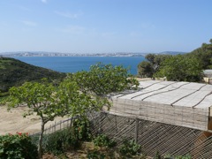 P1070286