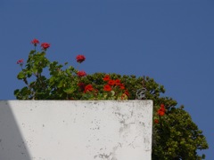 P1070346