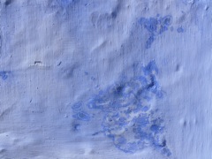P1070354