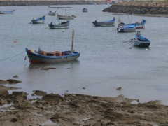P1070382