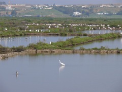 P1070384
