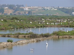 P1070385