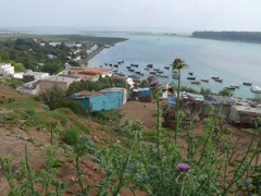 P1070390