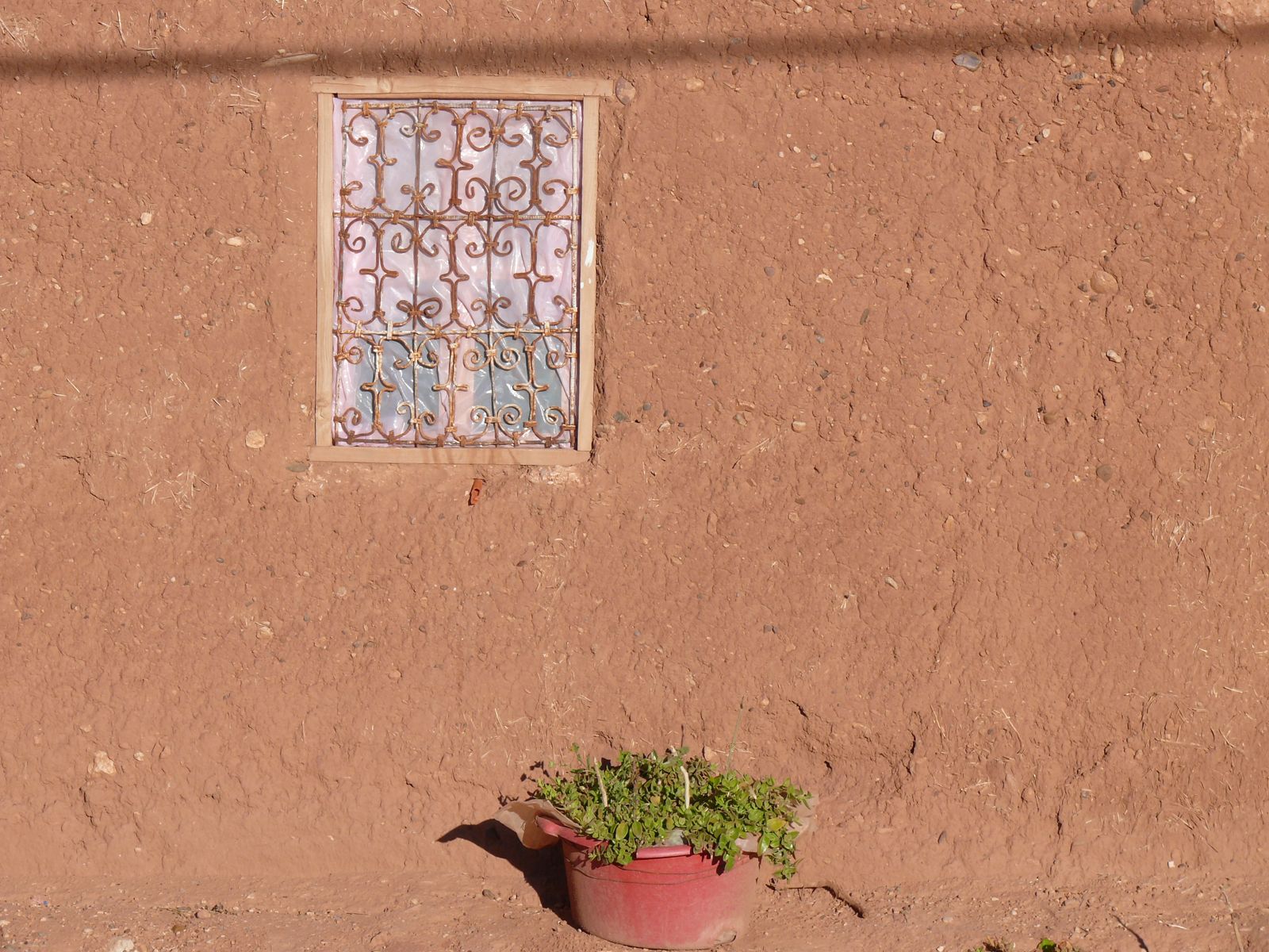 P1070607