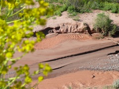 P1070476