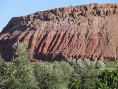 P1070493