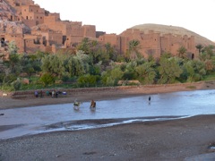 P1070504