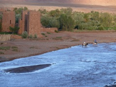 P1070507