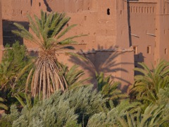 P1070509