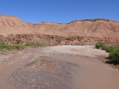 P1070542