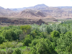 P1070566