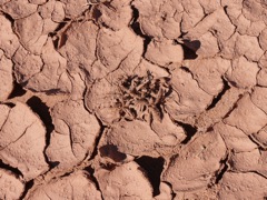 P1070570