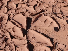 P1070571