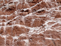 P1070573