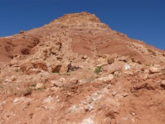 P1070579