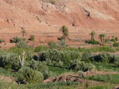P1070602