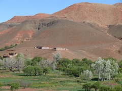 P1070460