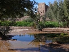 P1070645