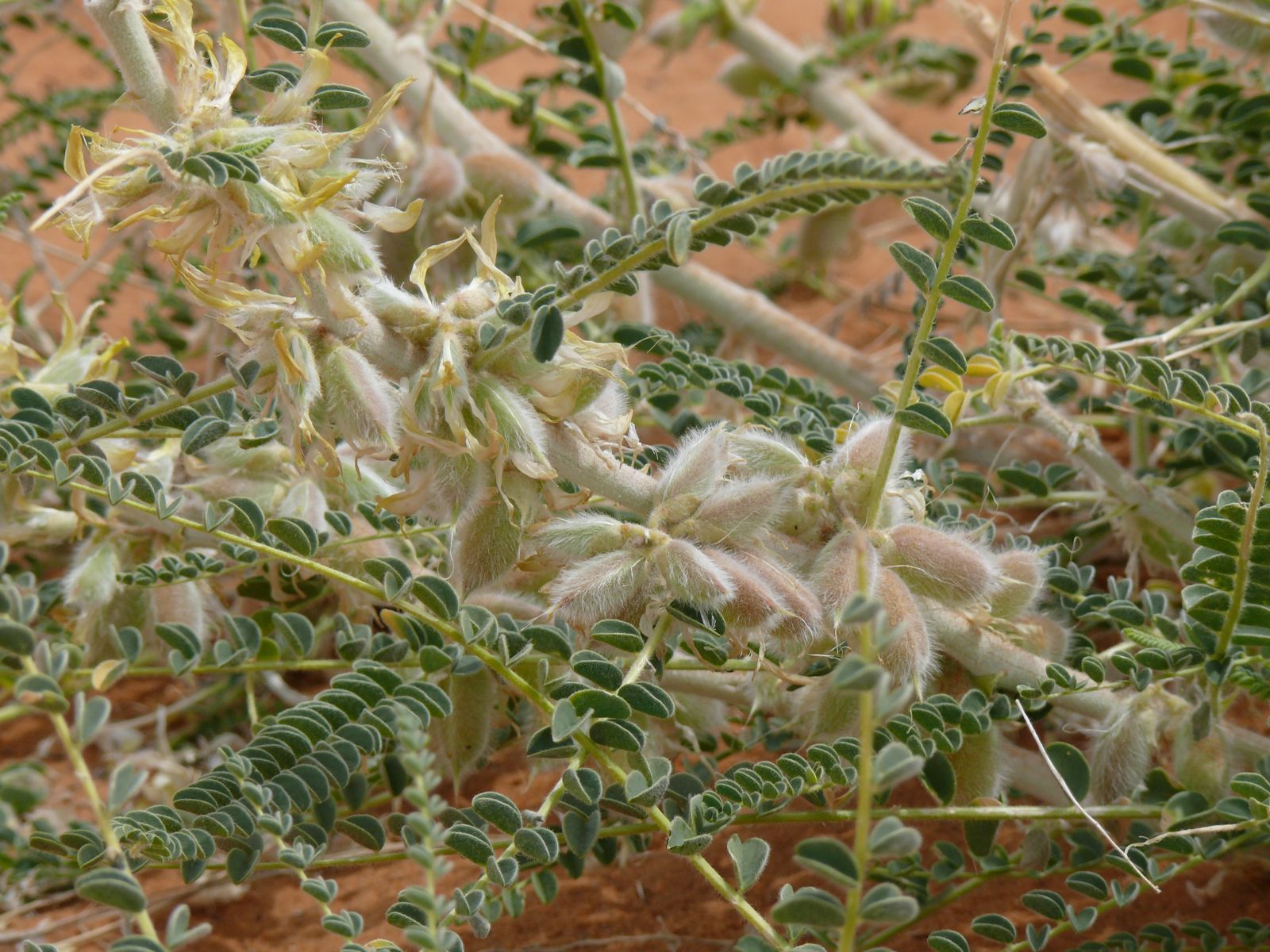 P1070953