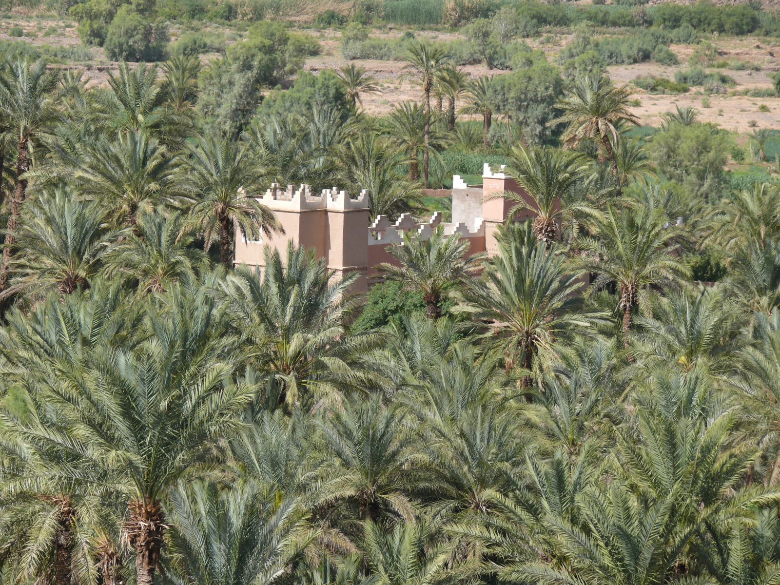 P1080056