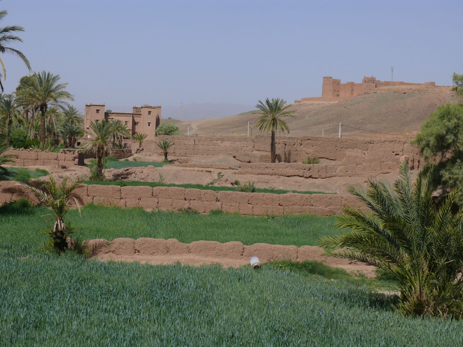 P1080065