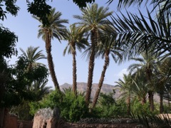 P1080120