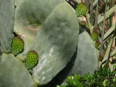 P1080121