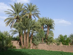 P1080125