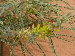 P1070952