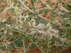 P1070953