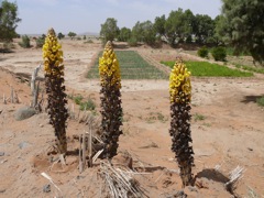 P1070960