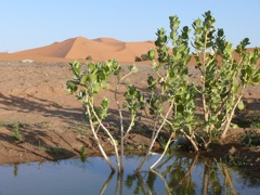 P1070921