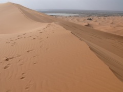 P1070987