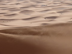 P1070993
