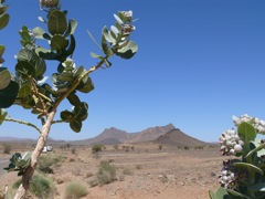 P1080016