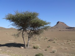 P1080039