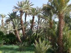 P1080050