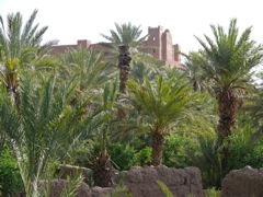 P1080051