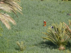 P1080061