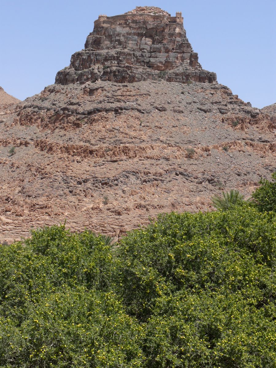 P1080485
