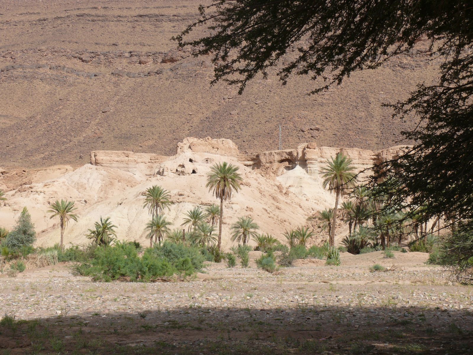 P1080200