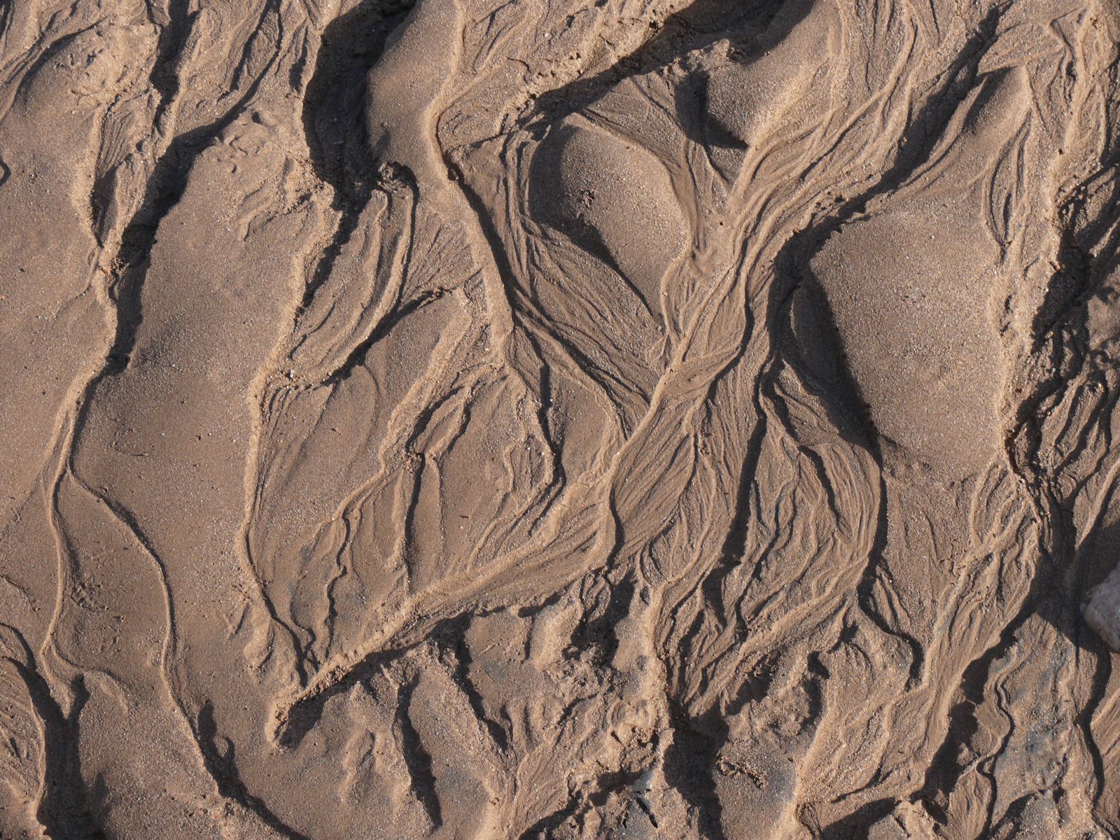 P1080228